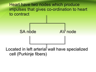 Heart have two nodes which produce
impulses that gives co-ordination to heart
to contract
SA node AV node
Located in left arterial wall have specialized
cell (Purkinje fibers)
 