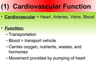 (1) Cardiovascular Function
• Cardiovascular = Heart, Arteries, Veins, Blood
• Function:Function:
–Transportation
–Blood = transport vehicle
–Carries oxygen, nutrients, wastes, and
hormones
–Movement provided by pumping of heart
 