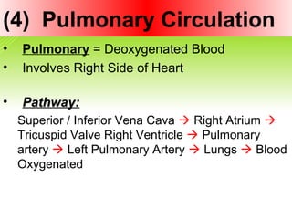 (4) Pulmonary Circulation
• Pulmonary = Deoxygenated Blood
• Involves Right Side of Heart
• Pathway:Pathway:
Superior / Inferior Vena Cava  Right Atrium 
Tricuspid Valve Right Ventricle  Pulmonary
artery  Left Pulmonary Artery  Lungs  Blood
Oxygenated
 