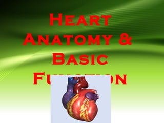 Heart
Anatomy &
Basic
Function
 