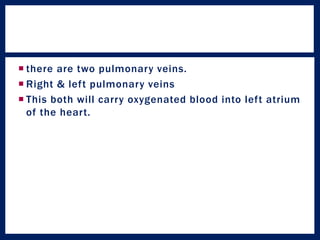  there are two pulmonary veins.
 Right & left pulmonary veins
 This both will carry oxygenated blood into left atrium
of the heart.
 