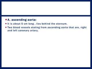  A. ascending aorta:
 It is about 5 cm long , lies behind the sternum.
 Two blood vessels stating from ascending aorta that are, right
and left coronary artery.
 