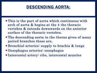  This is the part of aorta which continuous with
arch of aorta & begins at the 4 the thoracic
vertebra & extends downwards on the anterior
surface of the thoracic vertebra.
 The descending aorta in the thorax gives of many
paired branches those are,
 Bronchial arteries: supply to brachia & lungs
 Oesophagus arteries: oesophagus
 Intercostal artery: ribs, intercostal muscles
DESCENDING AORTA:
 