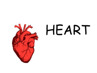 HEART
 