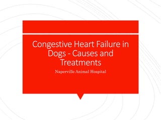 Congestive Heart Failure in
Dogs - Causes and
Treatments
Naperville Animal Hospital
 