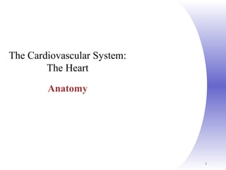 1
The Cardiovascular System:
The Heart
Anatomy
 