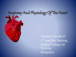 Anatomy And Physiology Of The Heart
Amrutha Nayaka P,
2nd year Bsc Nursing,
Kidwai College Of
Nursing,
Bengaluru.
 