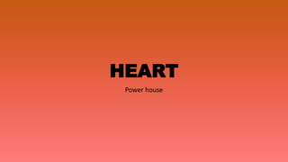 HEART
Power house
 
