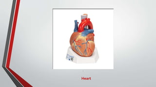 Elearning Heart Module Heart | PPTX