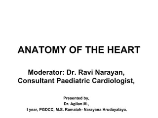 ANATOMY OF THE HEART
Moderator: Dr. Ravi Narayan,
Consultant Paediatric Cardiologist,
Presented by,
Dr. Agilan M.,
I year, PGDCC, M.S. Ramaiah- Narayana Hrudayalaya.

 