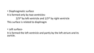 • Diaphragmatic surface
It is formed only by two ventricles-
2/3rd by left ventricle and 1/3rd by right ventricle
This surface is related to diaphragm
• Left surface-
It is formed the left ventricle and partly by the left atrium and its
auricle.
 