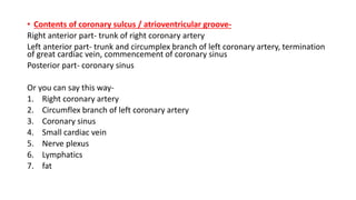 • Contents of coronary sulcus / atrioventricular groove-
Right anterior part- trunk of right coronary artery
Left anterior part- trunk and circumplex branch of left coronary artery, termination
of great cardiac vein, commencement of coronary sinus
Posterior part- coronary sinus
Or you can say this way-
1. Right coronary artery
2. Circumflex branch of left coronary artery
3. Coronary sinus
4. Small cardiac vein
5. Nerve plexus
6. Lymphatics
7. fat
 