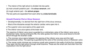 • The interior of the right atrium is divided into two parts:
(a) main smooth posterior part – the sinus venarum, and
(b) rough anterior part – the atrium proper.
The two parts are separated from each other by crista terminalis
Smooth Posterior Part or Sinus Venarum
• Developmentally, it is derived from the right horn of the sinus venosus.
• Most of the tributaries except the anterior cardiac veins open into it.
a The superior vena cava opens at the upper end.
b The inferior vena cava opens at the lower end.
The opening of inferior vena cava is guarded by a rudimentary valve of the inferior vena cava or
Eustachian valve. During embryonic life, the valve guides the inferior vena caval blood to the left
atrium through the foramen ovale.
c. The coronary sinus opens between the opening of the inferior vena cava and the right
atrioventricular orifice. The opening is guarded by the valve of the coronary sinus or thebesian valve.
d. The venae cordis minimae are numerous small veins present in the walls of all the four chambers.
They open into the right atrium through small foramina. These are the small vein that drain from the
myocardium into the right atrium
 