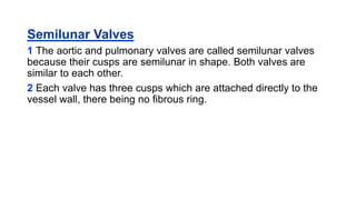 Semilunar Valves
1 The aortic and pulmonary valves are called semilunar valves
because their cusps are semilunar in shape. Both valves are
similar to each other.
2 Each valve has three cusps which are attached directly to the
vessel wall, there being no fibrous ring.
 