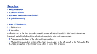 Branches
• Marginal branch
• SA nodal branch
• Posterior interventricular branch
• Right conus artery
• Area of Distribution
• 1 Right atrium
• 2 Ventricles:
a. Greater part of the right ventricle, except the area adjoining the anterior interventricular groove.
b. A small part of the left ventricle adjoining the posterior interventricular groove.
• 3 Posterior one-third part of the interventricular septum.
• 4 Whole of the conducting system of the heart except a part of the left branch of the AV bundle. The
SA node is supplied by the left coronary artery in about 40% of cases.
 