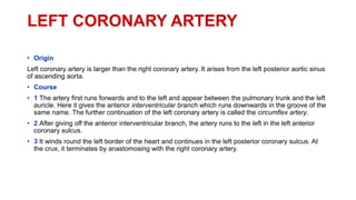 LEFT CORONARY ARTERY
• Origin
Left coronary artery is larger than the right coronary artery. It arises from the left posterior aortic sinus
of ascending aorta.
• Course
• 1 The artery first runs forwards and to the left and appear between the pulmonary trunk and the left
auricle. Here it gives the anterior interventricular branch which runs downwards in the groove of the
same name. The further continuation of the left coronary artery is called the circumflex artery.
• 2 After giving off the anterior interventricular branch, the artery runs to the left in the left anterior
coronary sulcus.
• 3 It winds round the left border of the heart and continues in the left posterior coronary sulcus. At
the crux, it terminates by anastomosing with the right coronary artery.
 