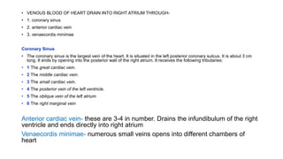 • VENOUS BLOOD OF HEART DRAIN INTO RIGHT ATRIUM THROUGH-
• 1. coronary sinus
• 2. anterior cardiac vein
• 3. venaecordis minimae
Coronary Sinus
• The coronary sinus is the largest vein of the heart. It is situated in the left posterior coronary sulcus. It is about 3 cm
long. It ends by opening into the posterior wall of the right atrium. It receives the following tributaries:
• 1 The great cardiac vein.
• 2 The middle cardiac vein.
• 3 The small cardiac vein.
• 4 The posterior vein of the left ventricle.
• 5 The oblique vein of the left atrium
• 6 The right marginal vein
Anterior cardiac vein- these are 3-4 in number. Drains the infundibulum of the right
ventricle and ends directly into right atrium
Venaecordis minimae- numerous small veins opens into different chambers of
heart
 