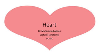 Heart
Dr. Muhammad Adnan
Lecturer (anatomy)
DCIMC
 
