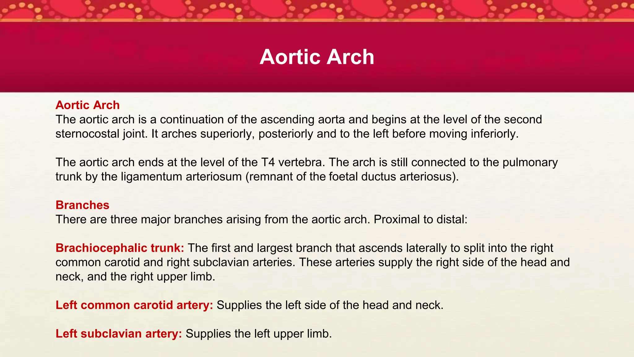 Aortic Arch
Aortic Arch
The aortic arch is a continuation of the ascending aorta and begins at the level of the second
sternocostal joint. It arches superiorly, posteriorly and to the left before moving inferiorly.
The aortic arch ends at the level of the T4 vertebra. The arch is still connected to the pulmonary
trunk by the ligamentum arteriosum (remnant of the foetal ductus arteriosus).
Branches
There are three major branches arising from the aortic arch. Proximal to distal:
Brachiocephalic trunk: The first and largest branch that ascends laterally to split into the right
common carotid and right subclavian arteries. These arteries supply the right side of the head and
neck, and the right upper limb.
Left common carotid artery: Supplies the left side of the head and neck.
Left subclavian artery: Supplies the left upper limb.
 