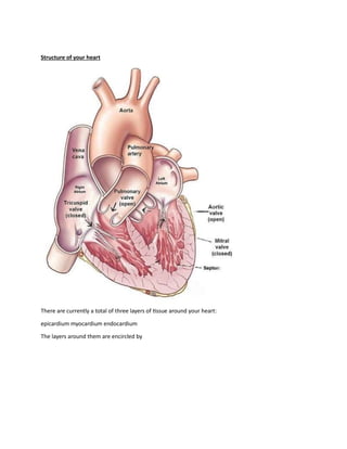 Structure of your heart
There are currently a total of three layers of tissue around your heart:
epicardium myocardium endocardium
The layers around them are encircled by
 