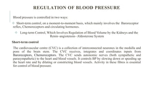 REGULATION OF BLOOD PRESSURE
Blood pressure is controlled in two ways:
 Short-term control, on a moment-to-moment basis, which mainly involves the Baroreceptor
reflex, Chemoreceptors and circulating hormones.
 Long-term Control, Which Involves Regulation of Blood Volume by the Kidneys and the
Renin–angiotensin– Aldosterone System
Short-term control
The cardiovascular centre (CVC) is a collection of interconnected neurones in the medulla and
pons of the brain stem. The CVC receives, integrates and coordinates inputs from
Baroreceptors, Chemoreceptors. The CVC sends autonomic nerves (both sympathetic and
parasympathetic) to the heart and blood vessels. It controls BP by slowing down or speeding up
the heart rate and by dilating or constricting blood vessels. Activity in these fibres is essential
for control of blood pressure.
 
