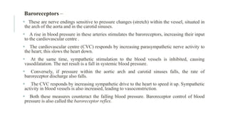 Baroreceptors –
 These are nerve endings sensitive to pressure changes (stretch) within the vessel, situated in
the arch of the aorta and in the carotid sinuses.
 A rise in blood pressure in these arteries stimulates the baroreceptors, increasing their input
to the cardiovascular centre .
 The cardiovascular centre (CVC) responds by increasing parasympathetic nerve activity to
the heart; this slows the heart down.
 At the same time, sympathetic stimulation to the blood vessels is inhibited, causing
vasodilatation. The net result is a fall in systemic blood pressure.
 Conversely, if pressure within the aortic arch and carotid sinuses falls, the rate of
baroreceptor discharge also falls.
 The CVC responds by increasing sympathetic drive to the heart to speed it up. Sympathetic
activity in blood vessels is also increased, leading to vasoconstriction.
 Both these measures counteract the falling blood pressure. Baroreceptor control of blood
pressure is also called the baroreceptor reflex.
 