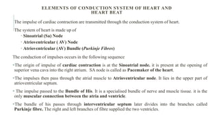 The impulse of cardiac contraction are transmitted through the conduction system of heart.
The system of heart is made up of
 Sinoatrial (Sa) Node
 Atrioventricular ( AV) Node
 Atrioventricular (AV) Bundle (Purkinje Fibres)
The conduction of impulses occurs in the following sequence
The origin of impulse of cardiac contraction is at the Sinoatrial node. it is present at the opening of
superior vena cava into the right atrium. SA node is called as Pacemaker of the heart.
The impulses then pass through the atrial muscle to Atrioventricular node. It lies in the upper part of
atrioventricular septum.
 The impulse passed to the Bundle of His. It is a specialised bundle of nerve and muscle tissue. it is the
only muscular connection between the atria and ventricle.
The bundle of his passes through interventricular septum later divides into the branches called
Purkinje fibre. The right and left branches of fibre supplied the two ventricles.
ELEMENTS OF CONDUCTION SYSTEM OF HEART AND
HEART BEAT
 