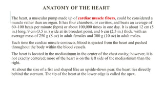ANATOMY OF THE HEART
The heart, a muscular pump made up of cardiac muscle fibers, could be considered a
muscle rather than an organ. It has four chambers, or cavities, and beats an average of
60–100 beats per minute (bpm) or about 100,000 times in one day. It is about 12 cm (5
in.) long, 9 cm (3.5 in.) wide at its broadest point, and 6 cm (2.5 in.) thick, with an
average mass of 250 g (8 oz) in adult females and 300 g (10 oz) in adult males.
Each time the cardiac muscle contracts, blood is ejected from the heart and pushed
throughout the body within the blood vessels.
The heart is located in the mediastinum in the center of the chest cavity; however, it is
not exactly centered; more of the heart is on the left side of the mediastinum than the
right.
At about the size of a fist and shaped like an upside-down pear, the heart lies directly
behind the sternum. The tip of the heart at the lower edge is called the apex.
 