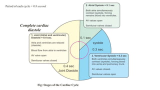 Complete cardiac
diastole
Fig: Stages of the Cardiac Cycle
Period of each cycle = 0.8 second
 