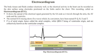 Electrocardiogram
The body tissues and fluids conduct electricity well, so the electrical activity in the heart can be recorded on
the skin surface using electrodes positioned on the limbs and/or the chest. This recording, called an
Electrocardiogram (ECG).
 It shows the spread of the electrical signal generated by the SA node as it travels through the atria, the AV
node and the ventricles.
 The normal ECG tracing shows five waves which, by convention, have been named P. Q, R, S and T.
 P is of atrial origin, hence called the atrial complex, while QRS-T being of ventricular origin, and are
collectively known as the ventricular complex.
Fig: Electrocardiogram (ECG).
 