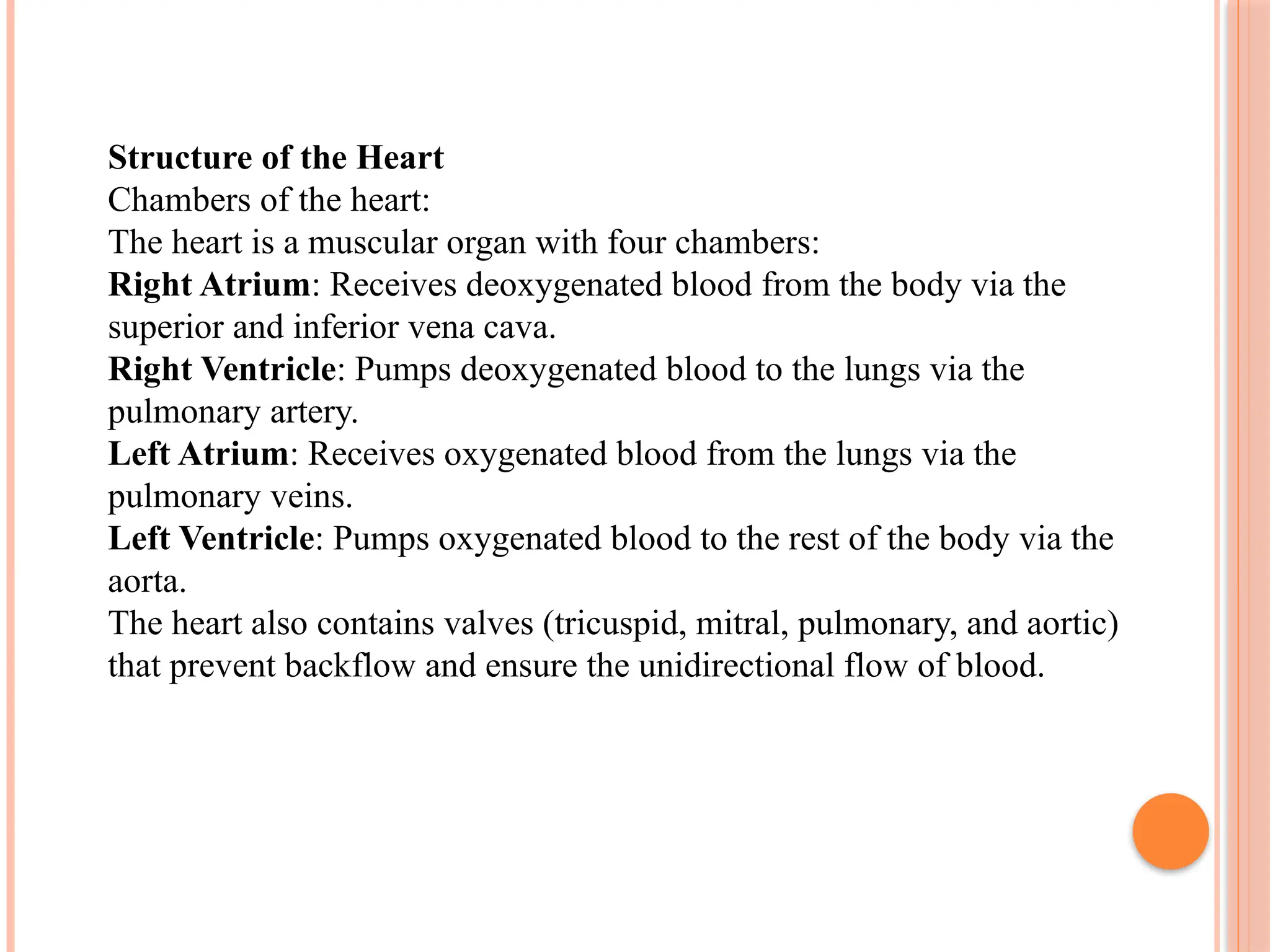 Structure of the Heart
Chambers of the heart:
The heart is a muscular organ with four chambers:
Right Atrium: Receives deoxygenated blood from the body via the
superior and inferior vena cava.
Right Ventricle: Pumps deoxygenated blood to the lungs via the
pulmonary artery.
Left Atrium: Receives oxygenated blood from the lungs via the
pulmonary veins.
Left Ventricle: Pumps oxygenated blood to the rest of the body via the
aorta.
The heart also contains valves (tricuspid, mitral, pulmonary, and aortic)
that prevent backflow and ensure the unidirectional flow of blood.
 