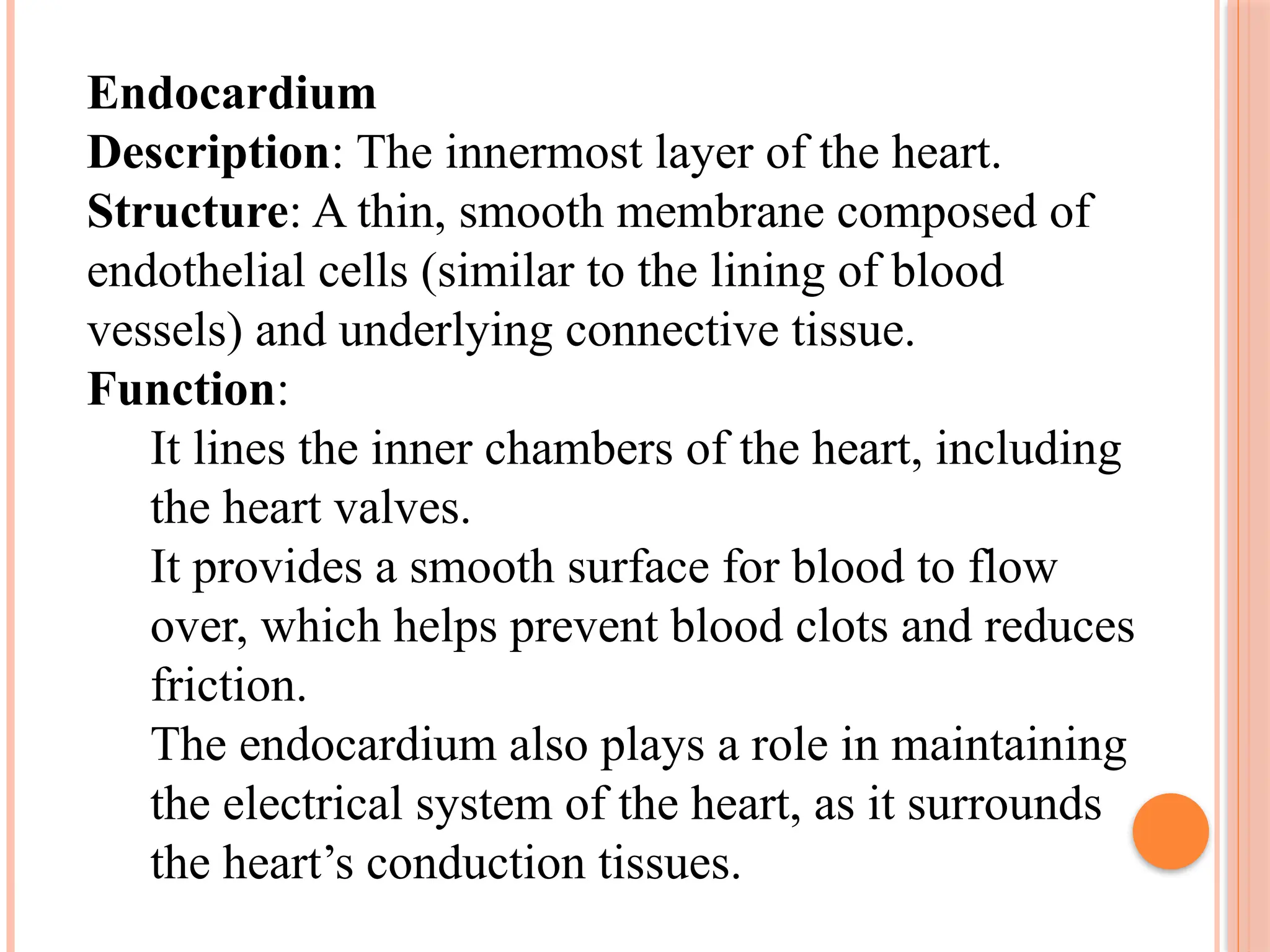 Endocardium
Description: The innermost layer of the heart.
Structure: A thin, smooth membrane composed of
endothelial cells (similar to the lining of blood
vessels) and underlying connective tissue.
Function:
It lines the inner chambers of the heart, including
the heart valves.
It provides a smooth surface for blood to flow
over, which helps prevent blood clots and reduces
friction.
The endocardium also plays a role in maintaining
the electrical system of the heart, as it surrounds
the heart’s conduction tissues.
 
