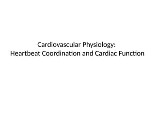 Comprehensive Overview of Cardiovascular Physiology and Cardiac ...