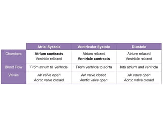 Comprehensive Overview of Cardiovascular Physiology and Cardiac ...