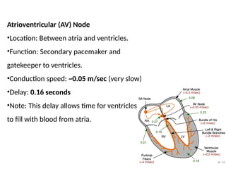 Comprehensive Overview of Cardiovascular Physiology and Cardiac ...