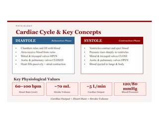 P H Y S I O L O G Y
Cardiac Cycle & Key Concepts
DIASTOLE Relaxation Phase
• Chambers relax and fill with blood
• Atria receive blood from veins
• Mitral & tricuspid valves OPEN
• Aortic & pulmonary valves CLOSED
SYSTOLE Contraction Phase
• Ventricles contract and eject blood
• Pressure rises sharply in ventricles
• Mitral & tricuspid valves CLOSE
• Aortic & pulmonary valves OPEN
• Aortic & pulmonary valves CLOSED
• Heart fills passively + atrial contraction
• Aortic & pulmonary valves OPEN
• Blood ejected to lungs & body
Key Physiological Values
60–100 bpm
Heart Rate (rest)
~70 mL
Stroke Volume
~5 L/min
Cardiac Output
120/80
mmHg
Blood Pressure
Cardiac Output = Heart Rate × Stroke Volume
 