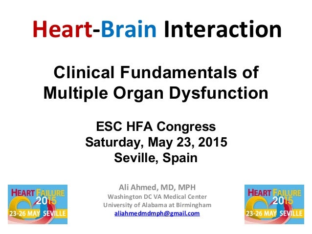 Dissertation heart and brain interrelation
