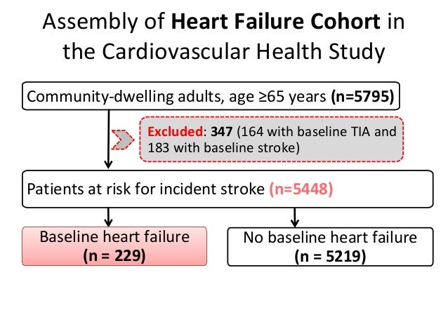 Dissertation heart and brain interrelation