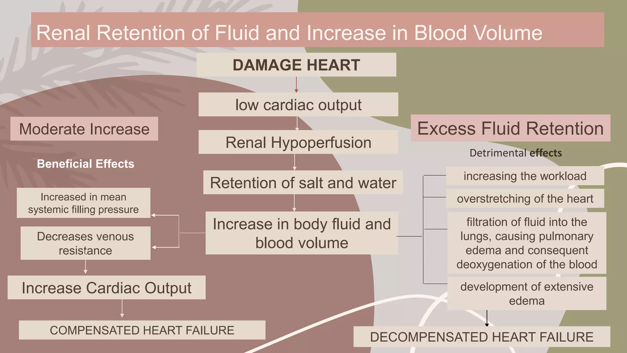 Heart-Failure.pptx