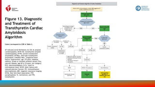 116
Figure 13. Diagnostic
and Treatment of
Transthyretin Cardiac
Amyloidosis
Algorithm
Colors correspond to COR in Table 2.
AF indicates atrial fibrillation; AL-CM, AL amyloid
cardiomyopathy; ATTR-CM, transthyretin amyloid
cardiomyopathy; ATTRv, variant transthyretin
amyloidosis; ATTRwt, wild-type transthyretin
amyloidosis; CHA2DS2-VASc, congestive heart
failure, hypertension, age ≥75 years, diabetes
mellitus, stroke or transient ischemic attack (TIA),
vascular disease, age 65 to 74 years, sex category;
ECG, electrocardiogram; H/CL, heart to
contralateral chest; HFrEF, heart failure with
reduced ejection fraction; IFE, immunofixation
electrophoresis; MRI, magnetic resonance imaging;
NYHA, New York Heart Association; PYP,
pyrophosphate; Tc, technetium; and TTR,
transthyretin.
 