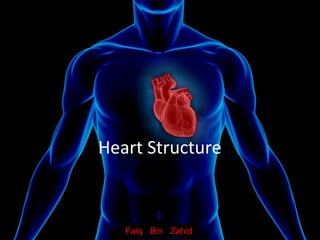 www.clickbiology.comwww.clickbiology.com
Heart Structure
Faiq Bin Zahid
 