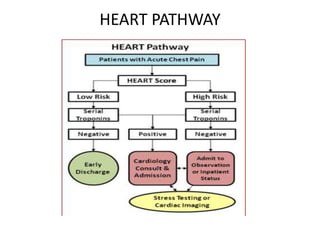HEART PATHWAY
 