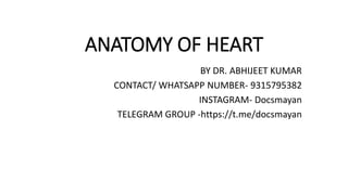 ANATOMY OF HEART
BY DR. ABHIJEET KUMAR
CONTACT/ WHATSAPP NUMBER- 9315795382
INSTAGRAM- Docsmayan
TELEGRAM GROUP -https://t.me/docsmayan
 