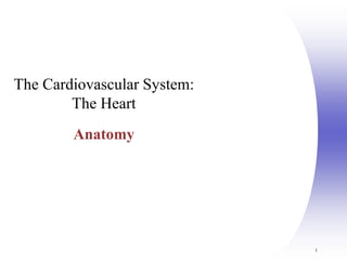 1
The Cardiovascular System:
The Heart
Anatomy
 