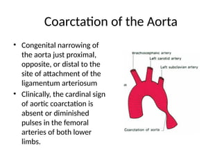 Comprehensive Overview of Heart Anatomy, Physiology, and Clinical ...
