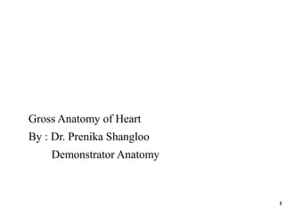 Gross Anatomy of Heart
By : Dr. Prenika Shangloo
Demonstrator Anatomy
1
 