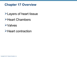 Chapter 17 Overview
Layers of heart tissue
Heart Chambers
Valves
Heart contraction

Copyright © 2011 Pearson Education, Inc.

 