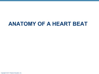 ANATOMY OF A HEART BEAT

Copyright © 2011 Pearson Education, Inc.

 