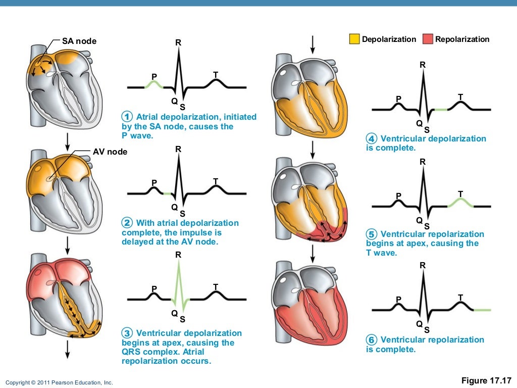 download to heart 2 game download to heart 2 game