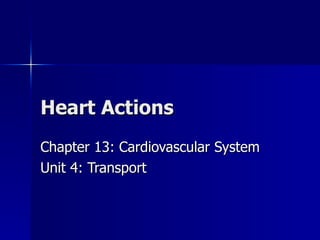 Heart Actions Chapter 13: Cardiovascular System Unit 4: Transport 